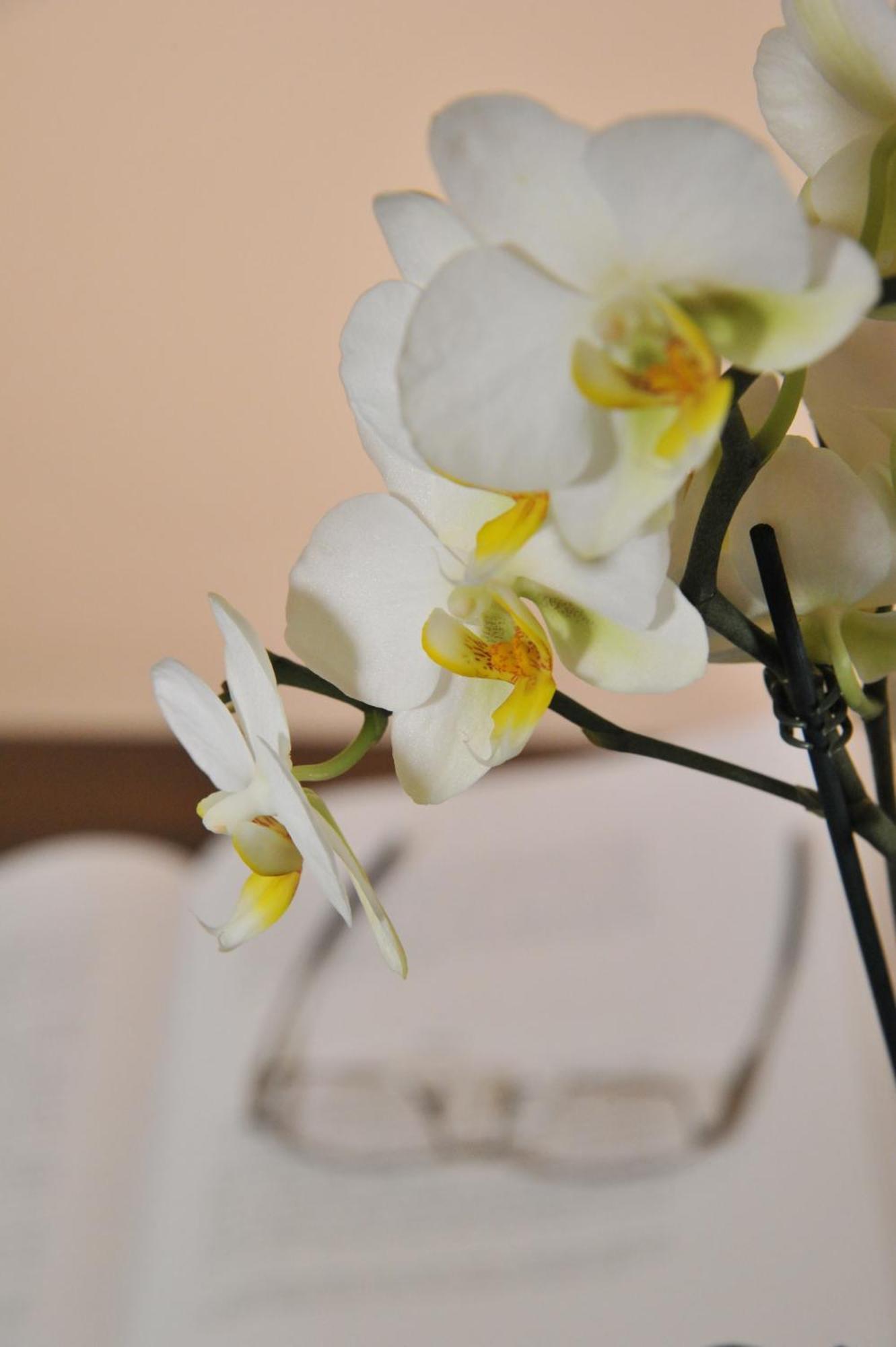 Bed & Breakfast Miravalle Antey-Saint-Andre